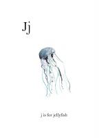 J is for Jellyfish #51581