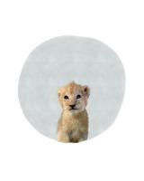 Baby Lion Circle #51587