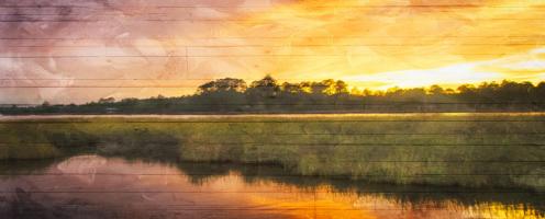 Marsh Sunset #51776