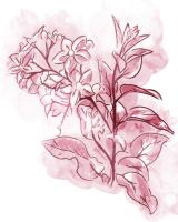 Water Inked Florals Blush #51805