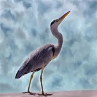 Heron #52031