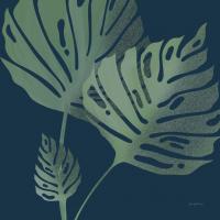 Monstera III #52081