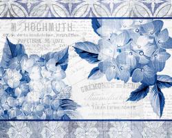 Hydrangea 2 #52271