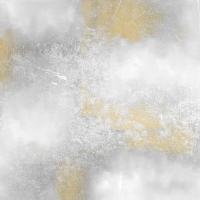 Golden Grey Lights #52343
