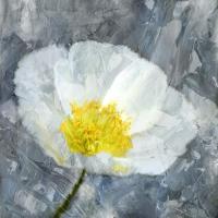 Poppy Blues 1 #52723