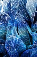 Midnight Palm Leaves 1 #52733
