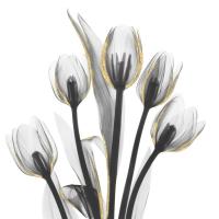 Gold Embellished Tulips 1 #52926