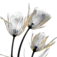 Gold Embellished Tulips 2 #52927