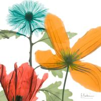 Inspired Bunch 2 #52933