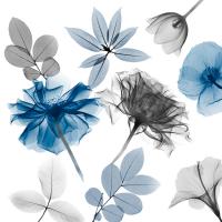 Floral Collage 3 #52939