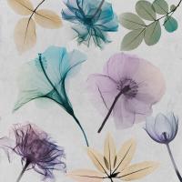 Floral Collage 2 #52940