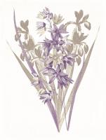 Lavender Flowers Three #52979