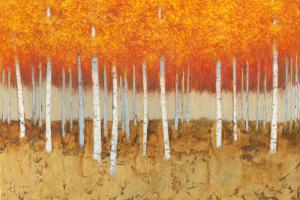 Autumn Birches #53414