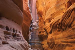 Buckskin Gulch V #53476