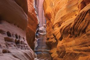 Buckskin Gulch V #53476