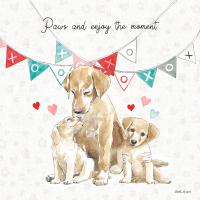 Paws of Love III #53511
