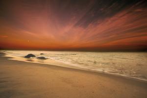 Marthas Vineyard Beach III #53599