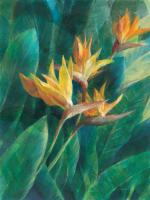 Bird of Paradise I #54061