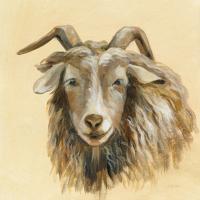 Highland Animal Sheep #55084