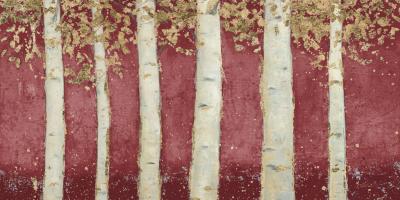 Magnificent Birch Grove Burgundy Crop #55871