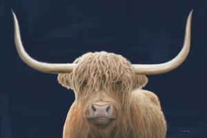 Highland Cow Navy #56160