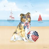 Summer Paws Patriotic V #57363