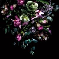Hellebores Bouquet #58075