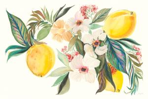 Citrus Summer I #58102