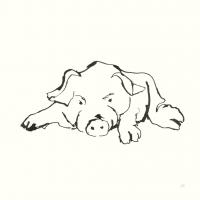 Line Pig I #58319