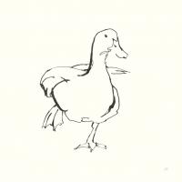 Line Duck II #58324