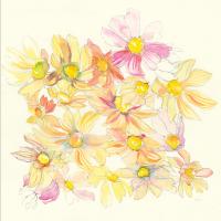 Pastel Garden Daisies #59879
