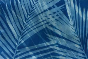 Cyanotype Tropical VIII #60519