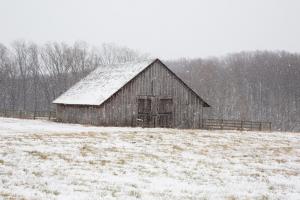 First Snow #60531