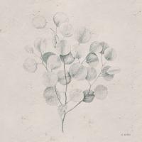 Soft Summer Sketches II Sq #60547