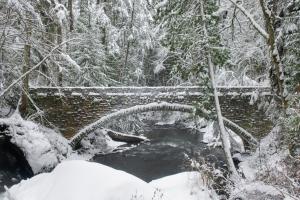 Whatcom Creek Bridge #60628