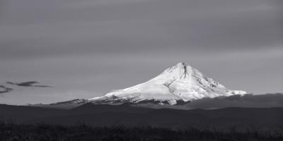 Mt. Hood #89707