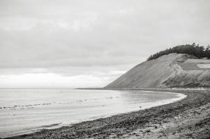 Beach, Ebeys Landing Whidbey Island #98168