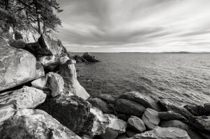 Rocky Coastline, Samish Bay #98192