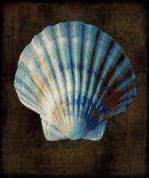 Ocean Treasure II #CKL111449