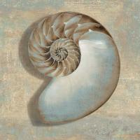 Aqua Nautilus #CKL6939