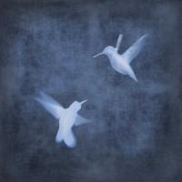 Flight in Blue I #CSD112078