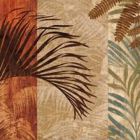 In the Tropics II #CSD6904