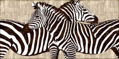 Zebra Gathering #DDS111230