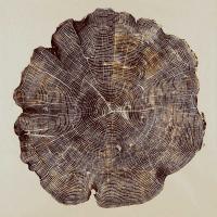 Timber I #DLC112240
