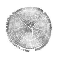 Timber Silver I #DLC114126