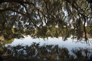 Lake Alice Reflections #102362