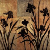 Iris Silhouette II #ERL4340