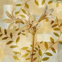 Lily Dreams #ERL6411