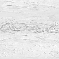 Textured on White III #GSF114989