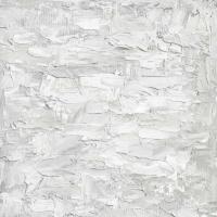 White on White III #GSF114996